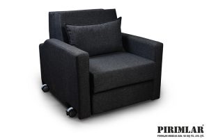 Bahadır Refakatçi Koltuğu