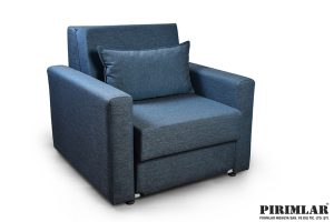 Efe Refakatçi Koltuğu