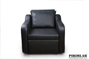 Ela Refakatçi Koltuğu